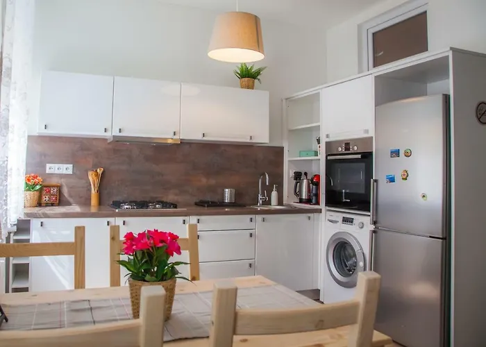 Downtown Pedestrian Zone